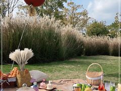 -上海山野camping·户外天幕烧烤·团建拓展营地