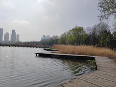 -前关湿地公园