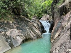 -广州白江湖森林公园