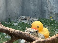 -青藏高原野生动物园