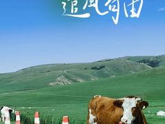 -二连浩特国家地质公园