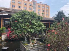 景观位-猪肉婆私房菜(容桂总店)