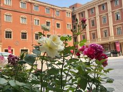 -黄浦区业余大学(四川南路校区)