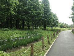 -贵阳市花溪国家城市湿地公园