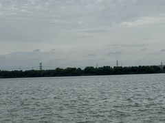 -漕湖湿地公园