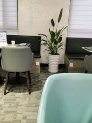 -上海玫瑰医疗美容医院