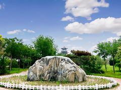 -南大港湿地风景区