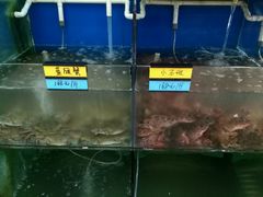 -胖大嫂渔家排档(半边山店)