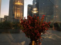 -凤凰湘语·湘粤鲜融(浦东旗舰店)