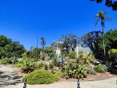 -墨尔本皇家植物园