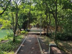 -南京市无想山景区