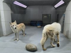 -大连圣亚海洋世界