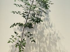 -喜蓝台·HI UP LAND度假餐厅