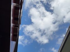 -茶百道(龙阳广场店)