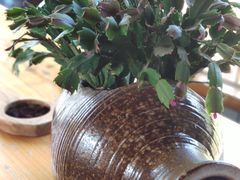 -楠柏弯休闲山庄(梨花溪店)