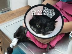 -荔康动物医院(康王北路店)