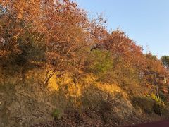 -敬亭山风景名胜区