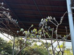 -燕塞湖鸟语林景区