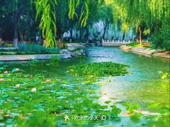 -丰台科技园生态主题公园