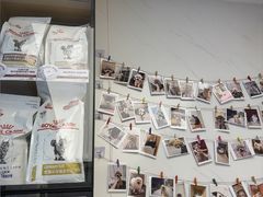 -瑞派康怡24h宠物医院·犬猫医疗中心·微创绝育(瑞景分院)