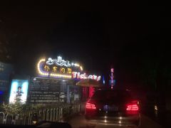 -枫花园汽车电影院(朝阳公园店)