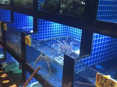 水产区-徽三说·土徽菜·中国徽菜连锁品牌(一中店)