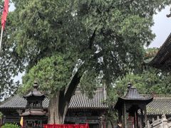 -玉泉观