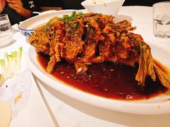 老济南糖醋鲤鱼-金春禧(世茂国际广场店)