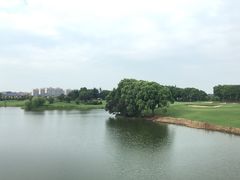 -银涛高尔夫练习场(徐泾店)