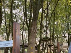 -WeLope紫金山探险公园