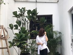 -素咫咖啡CLIFEROSE