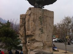 -阳台山自然风景区