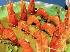 -老吉堂上海本帮菜(工体店)