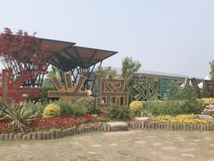 -上海长兴岛郊野公园