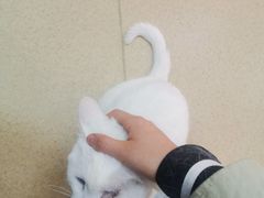 -康乐宝动物医院