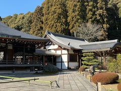 -西芳寺(苔寺)
