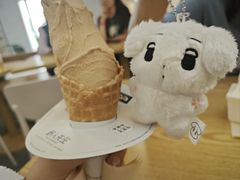 -野人先生Gelato(上海长宁龙之梦店)