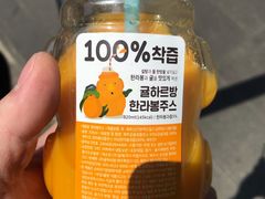 -西归浦每天偶来市场