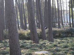 -月湖风景区