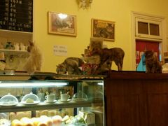 android_upload_pic-猫色咖啡·猫咖