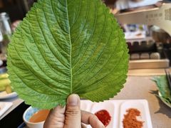 -丰茂烤串(公园店)