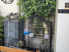 -丽江庭院之爱在路上(西单店)