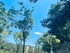 -马家湾湿地公园