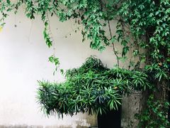 -浈阳坊旅游小镇
