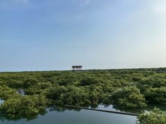 -北海金海湾红树林生态旅游区