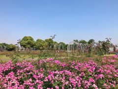 -尚贤河湿地