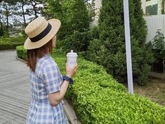 拿铁-莫内艺术岛海景咖啡