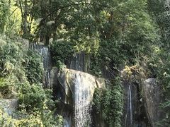 -西双版纳原始森林公园