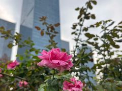 -天鹅湖体育公园