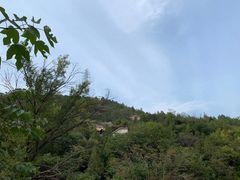 -白水寺森林公园